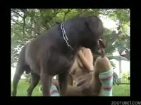 Outdoor dog bestiality with a Latina zoophile
